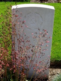 Klagenfurt War Cemetery - Wright, Albert Edward